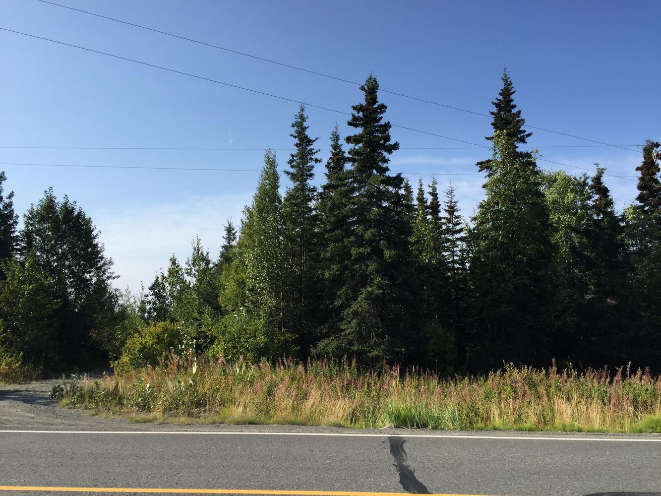 63727 Oil Well Rd, Ninilchik, AK 99639